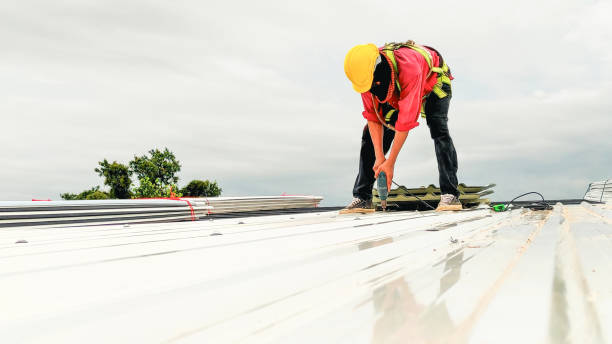 Best Cold Roofs  in St Michael, MN