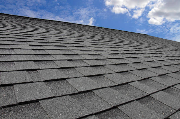 Best Roof Maintenance and Cleaning  in St Michael, MN